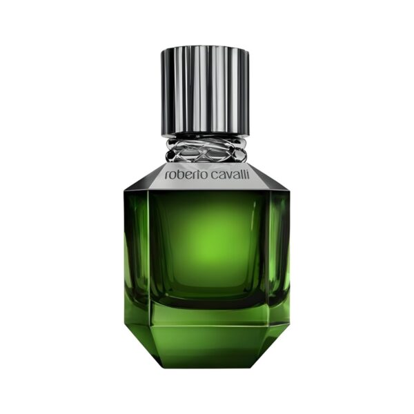 عطر روبرتو كافالي بارادايس فاوند او دي تواليت - 75 مل